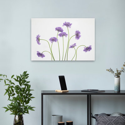 «Plants, Flowers, Pincushions # 2», art mural