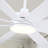 72" 8-Blade Large Ceiling Fans Modern Farmhouse Indoor With Lights And Remote-1082696116