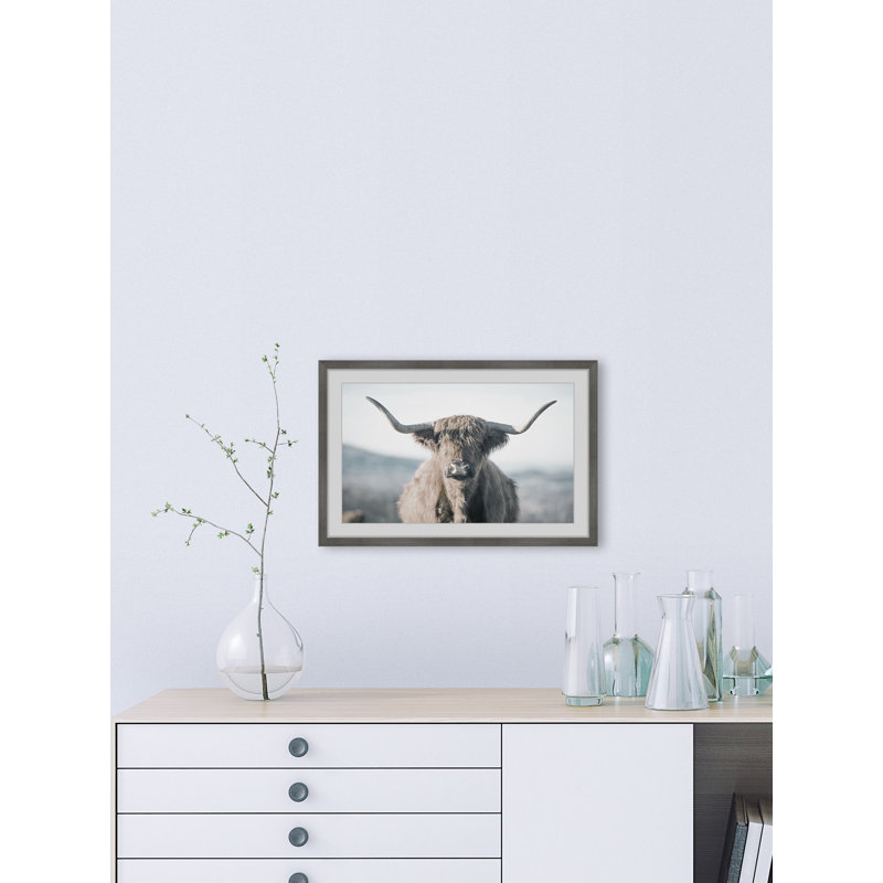 Highland Close-up - Print, 20cm H x 20cm W x 3.81cm D, Grey Framed Paper