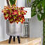 Metallic Concrete Effect Cylinder Round Planter on Hardwood Legs, Round Indoor Plant Pot Stand for Indoor Plants, Indoor Flower Pot-1091484464-1091484465
