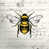 Bee is out of stock