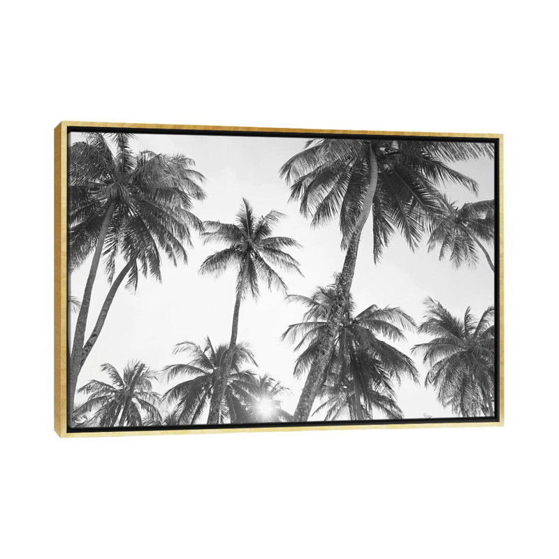 Tropical en noir et blanc par Sissi et Seb - reproduction de photo, Toile encadrée d'or, H 18 po x l 26 po x P 1,5 po