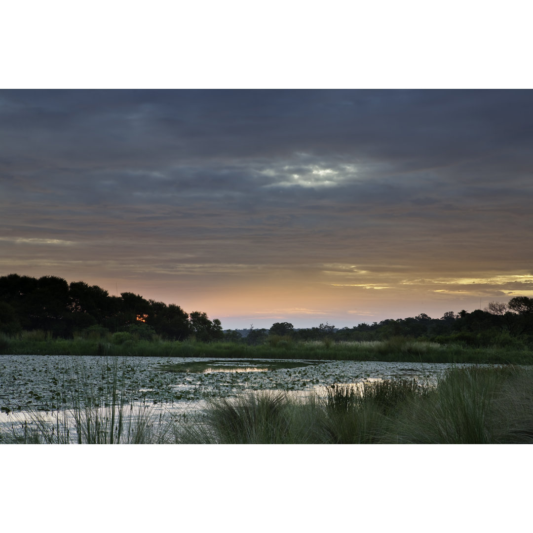 Sonnenuntergang am afrikanischen Teich - Kunstdrucke auf Leinwand