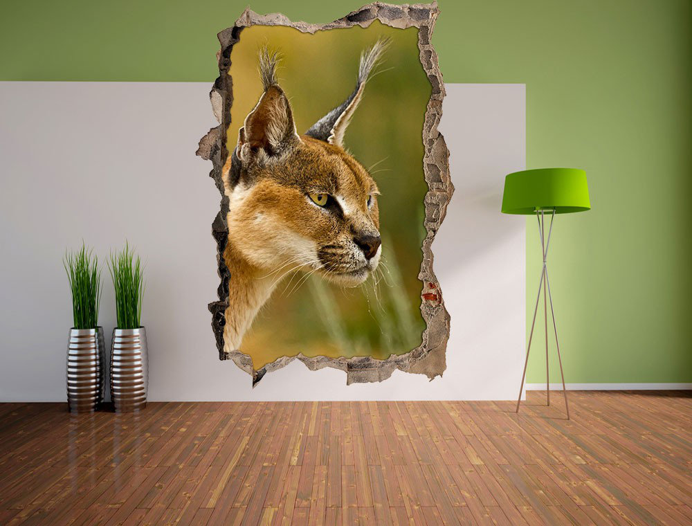 Alert Caracal Wandaufkleber