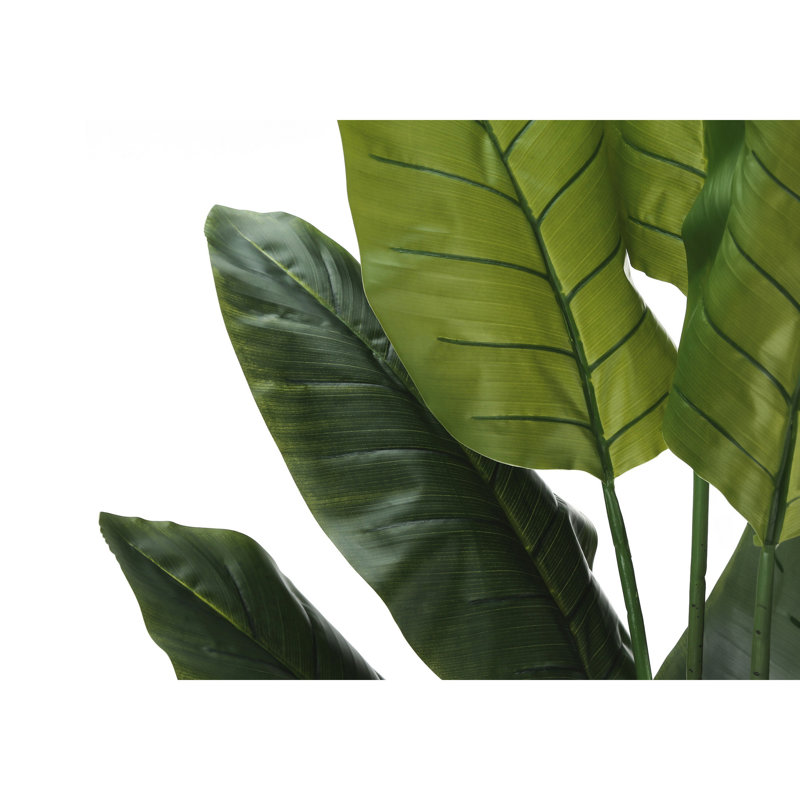 Mcdaniel 59'' Faux Strelitzia Plant in Cement Freestanding
