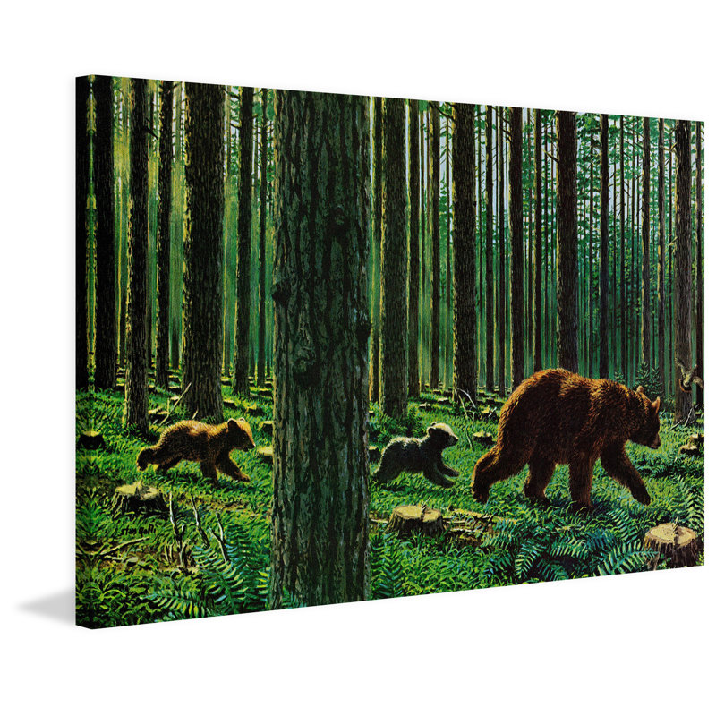 Wrapped Canvas Print, 41cm H x 61cm W x 3.81cm D