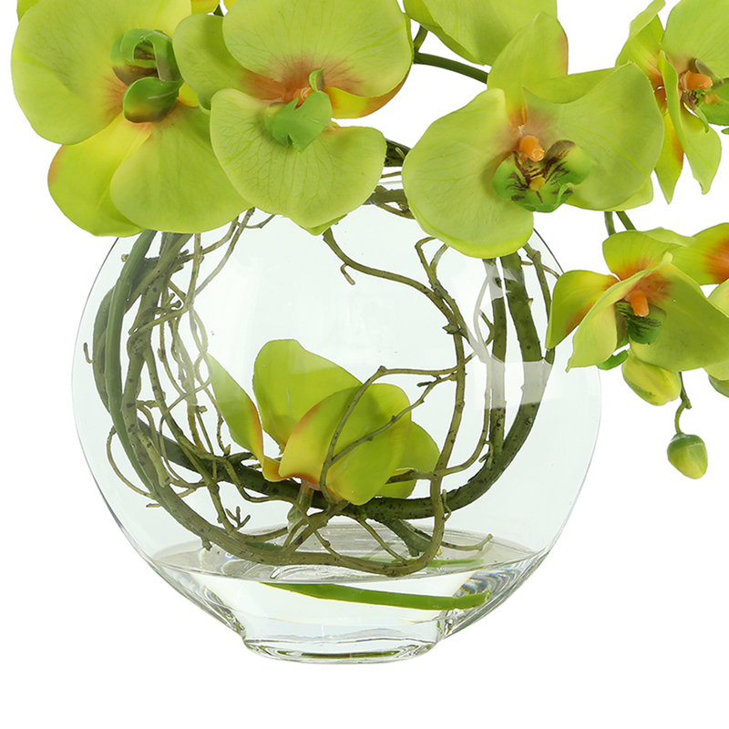 Orchid Arrangement in Glass Vase