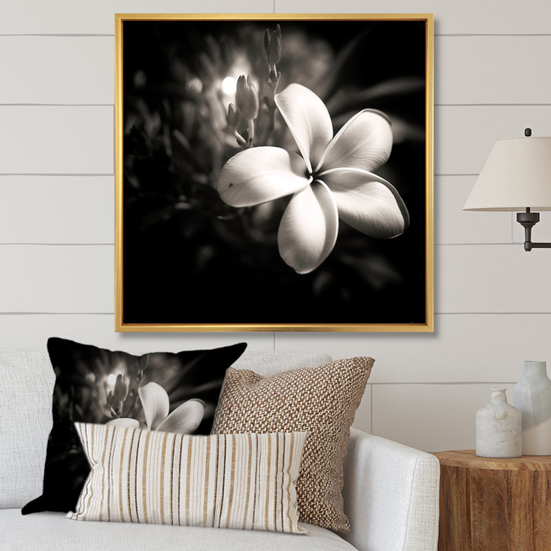 Spectrum Wild Moonlight Plumeria Beauty sur toile, Cadre flottant doré, H 36 po x l 36 po x P 1,5 po