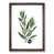 Walnut Framed selected