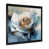 Black Picture Framed
