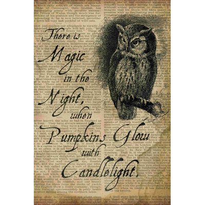 " Candlelight Owl "
