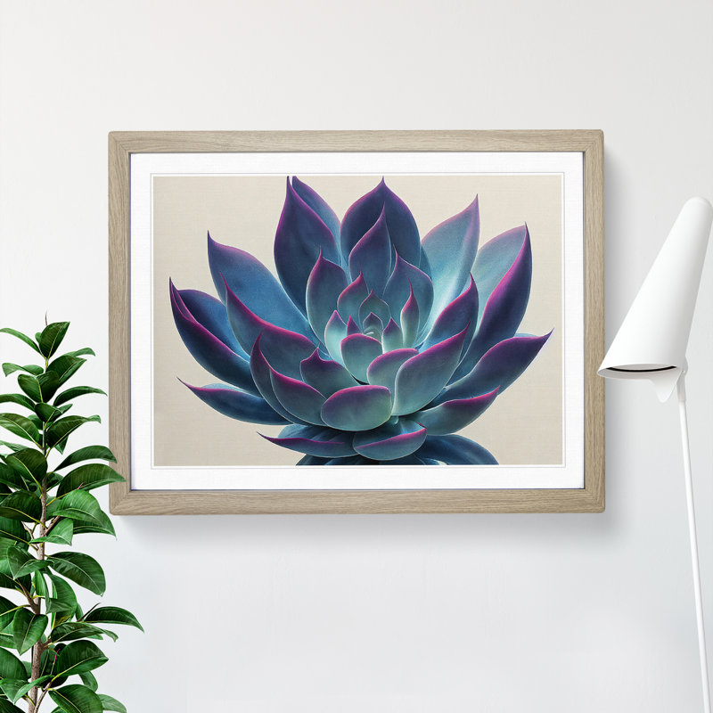 Watercolour Succulent Plant Vol.3 - Framed Print, 34cm H x 46cm W, Grey