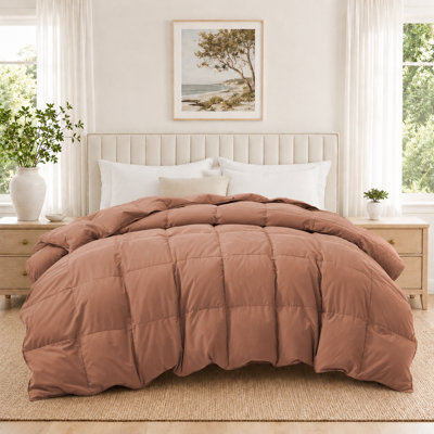 Goose Down Feather Fiber Comforter All Season Duvet Insert – Soft Noise-Free Bedding with RDS Certified Fill, Medium Warmth, Machine Washable