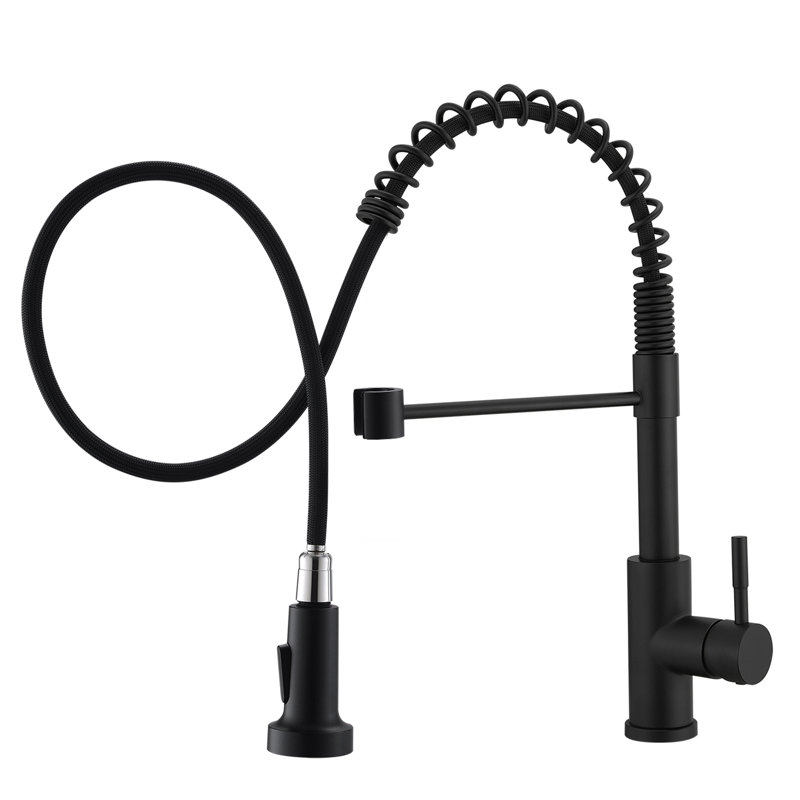 Single Handle Pull Out 304 Stainless Steel Kitchen Faucet, Matte Black