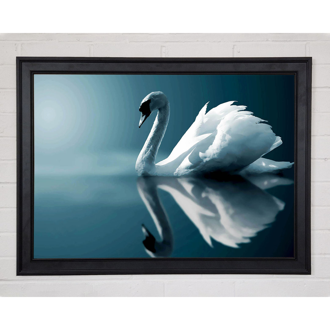 Reflections Of A Swan - Druck