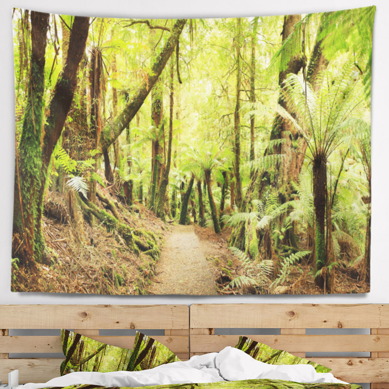 Photographie rainforest panorama paysage tapisserie, H 32 po x l 39 po