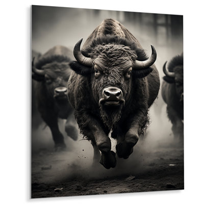 " Bison Harmony In Motion "