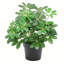 55cm Faux Plant in Pot Liner