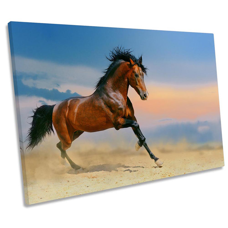 Horse Gallop Stallion - Wrapped Canvas Print, 61cm H x 91.4cm W x 4cm D