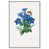 Silver Floater Framed