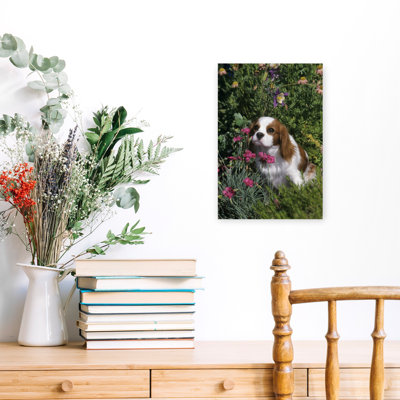 1990S Cavalier King Charles Spaniel Dog Sitting Among Flowers Classic Retro Vintage Dog Flower Wall Art