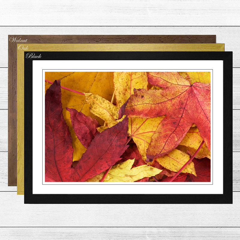 Autumn Leaves 1 Framed Photographic - Framed Print, Oak