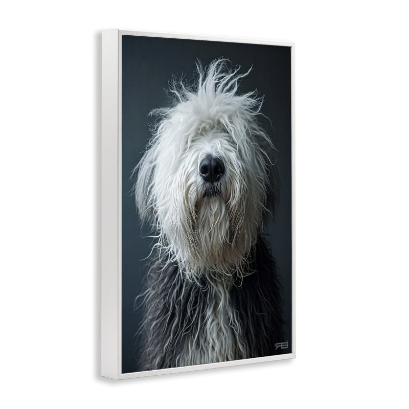 Shaggy Pup, estampe numérique par Roozbeh Bahramali, Estampe numérique encadrée blanc bord de mer, H 24 po x l 16 po