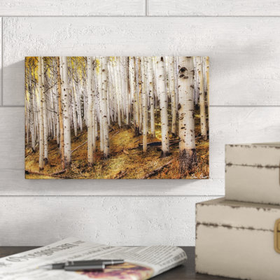 " Aspen Woods " by David Drost