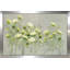 Queen Annes Lace - peinture-73961493-73961495