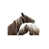 Outdoor selected