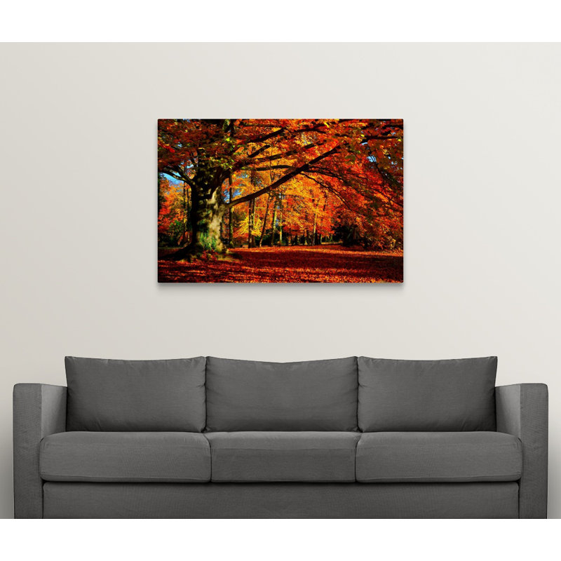 " The Tree " by Philippe Sainte-Laudy, 32" H x 48" W x 1.5" D