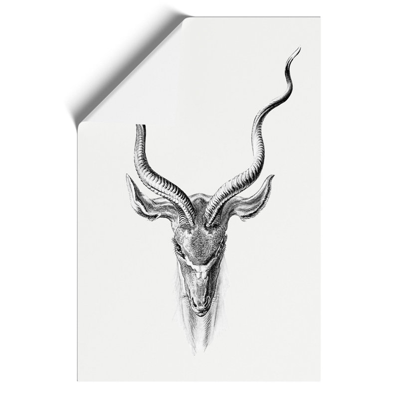 Vintage Antelope Vol.1 by Ernst Haeckel - No Frame Print, 30cm H x 21cm W x 0.1cm D