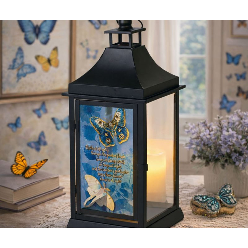 Large Outdoor Lantern Moths Drift Softly