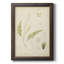 Toile encadrée de qualité supérieure Fern Study IV - prête à être accrochée-1316841605