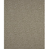 Piracy Fabric