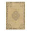 Oriental Area Rug in Beige