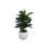 Organic Modern Faux Fiddle Leaf Fig Plant