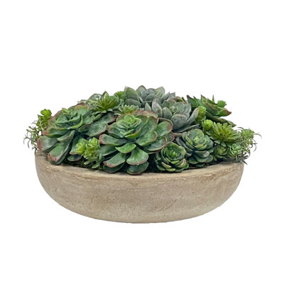 Faux Succulent in Pot