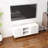 TV Stand With Storage
