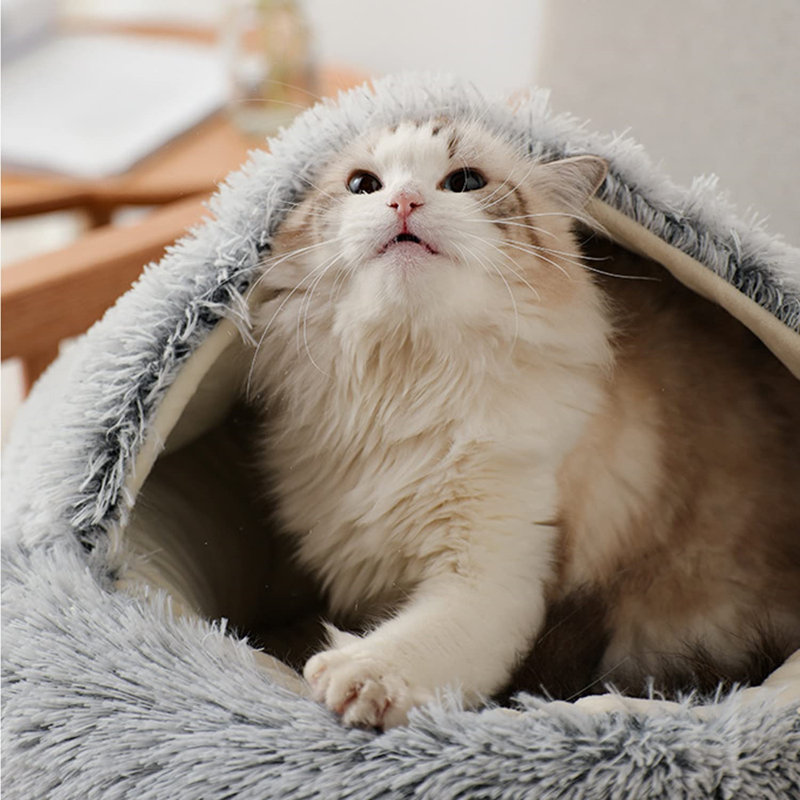 Boykins Pet Bed, Grey, 35cm H x 65cm W x 65cm D