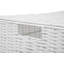 August Grove Plastic Decorative Bin-1182126922