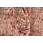 Ozra Oriental Hand-Knotted Rectangle 8'2" x 10'6" Wool Area Rug in Beige/Red