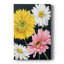 Gerbera Daisy I - peinture sur toile tendue-1316790579