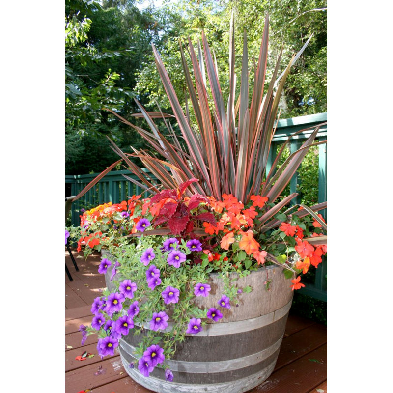 Wood Barrel Planter