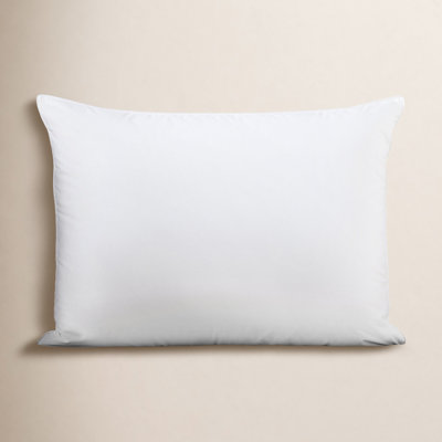  Oreiller en duvet ferme