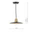 Deltona 1 - Light Black Cone Pendant