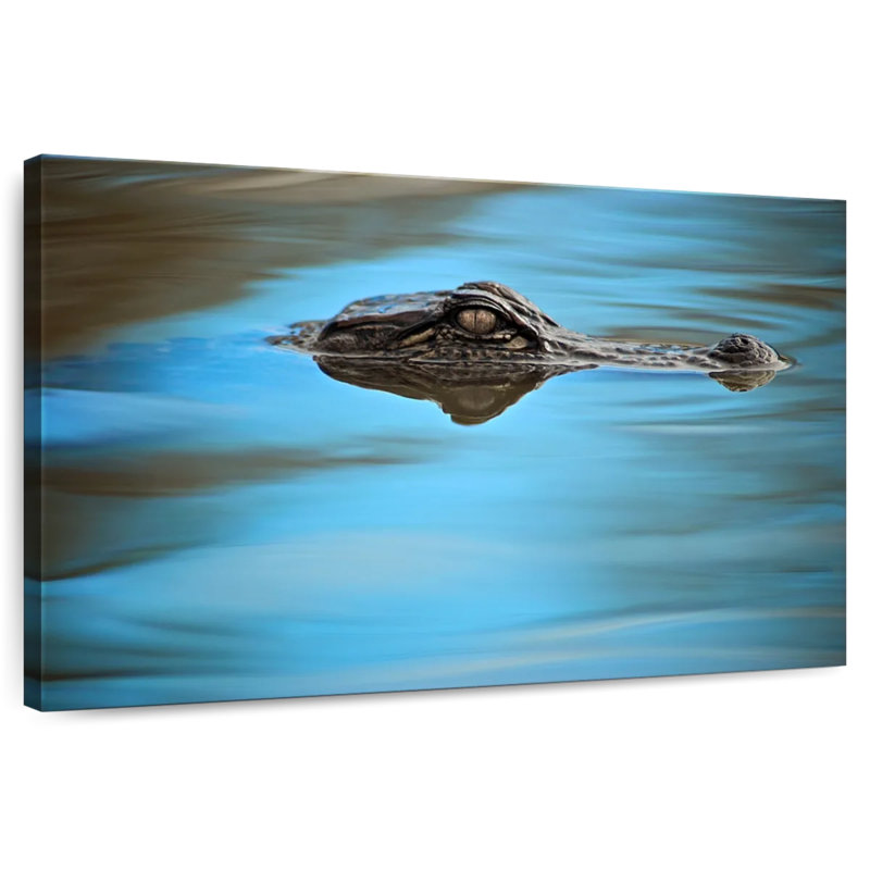 Crowle Peeking Alligator, 26" H x 39" W
