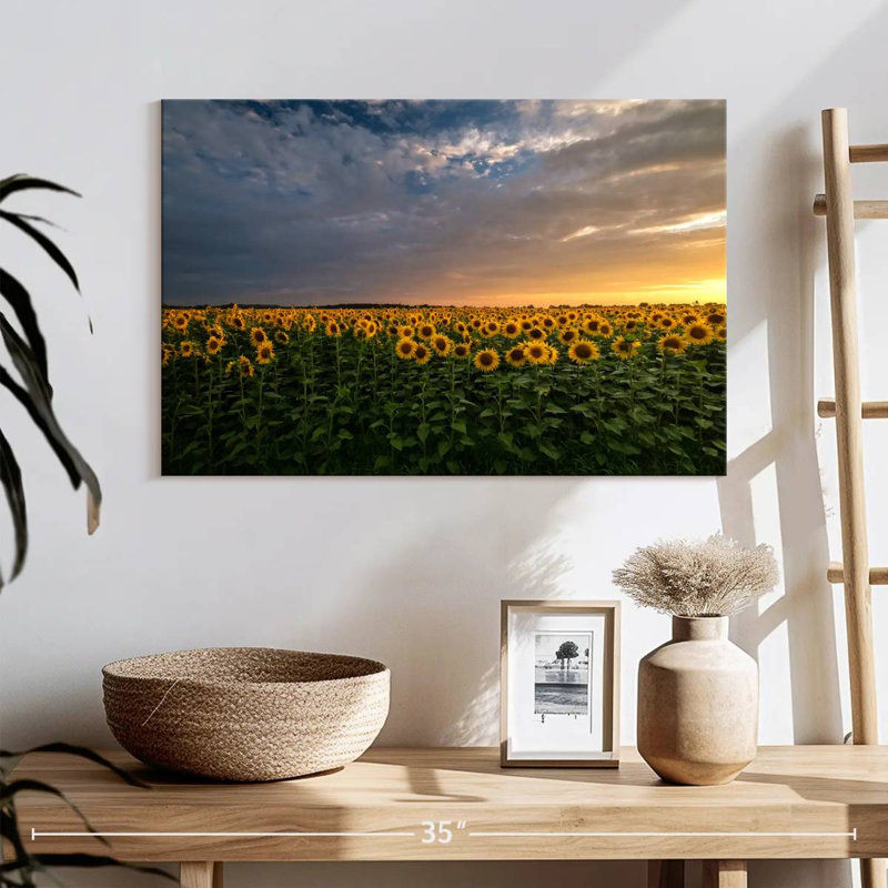 Champ de tournesols Alvord Mittenwalde, H 16 po x l 24 po