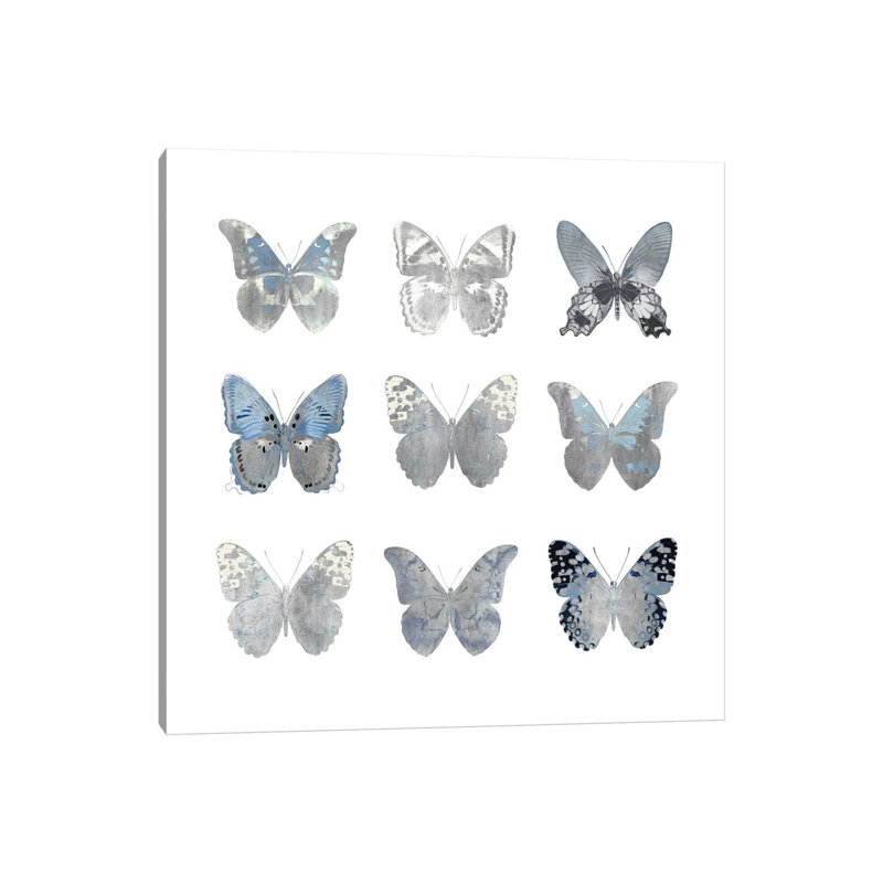 Butterfly Study II by Julia Bosco - Gallery-Wrapped Canvas Giclée on Canvas, 45.72cm H x 45.72cm W, Wrapped Canvas