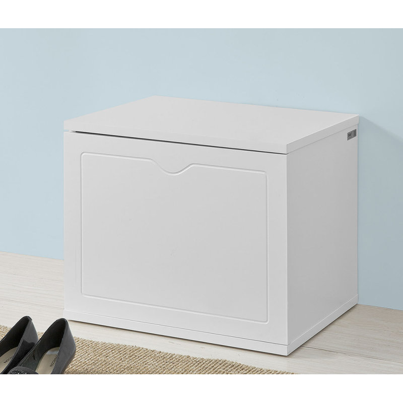 Shoe Storage Cabinet